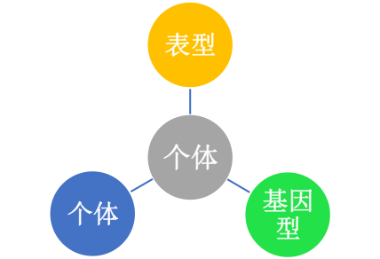 _images/HVBase.schema.zh_CN.png
